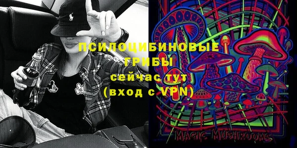 mdpv Новозыбков