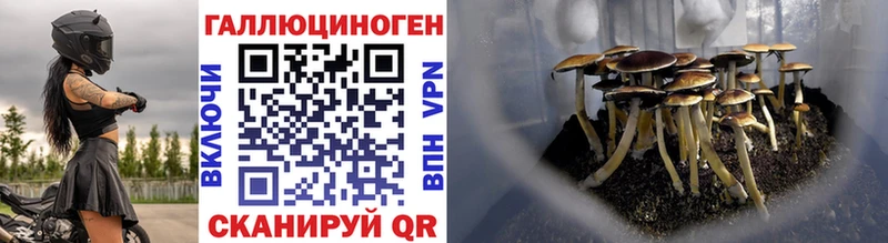 Галлюциногенные грибы мухоморы  Суоярви 